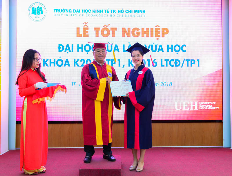 cá cược thể thao hul city